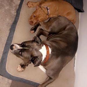 Meet your Posher, Makayla